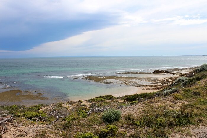 day-trip-melbourne_portsea_sorrento-15