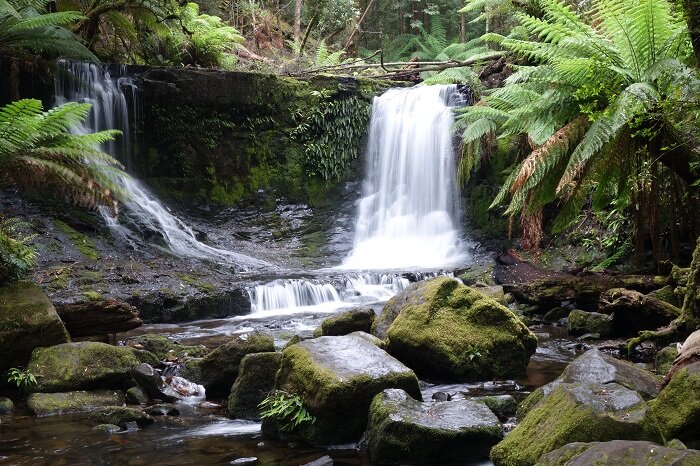 Das beste von Tasmanien (7)