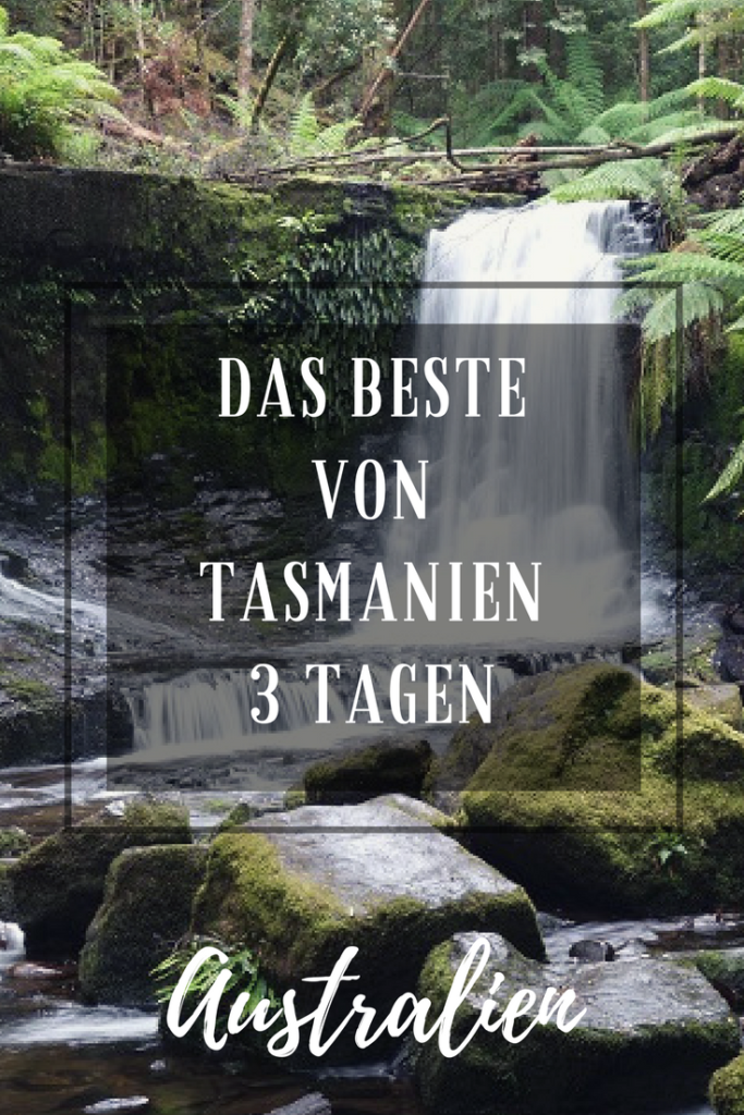 Tasmanien tipps (2)